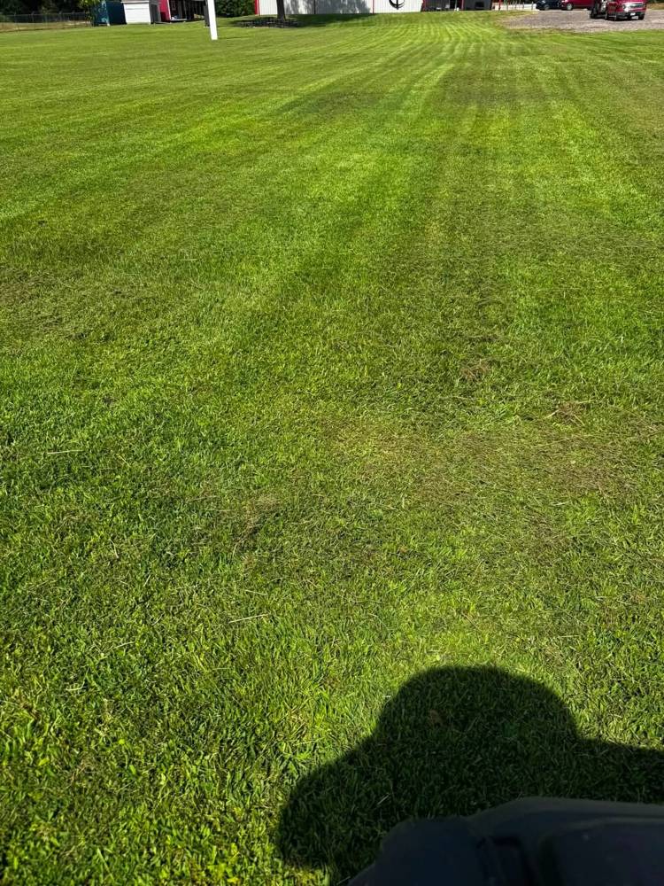 Large Acreage Mowing by Lee's Lawn Care in East Texas