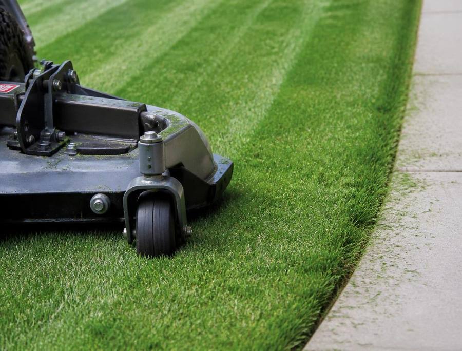 Lawn Maintenance