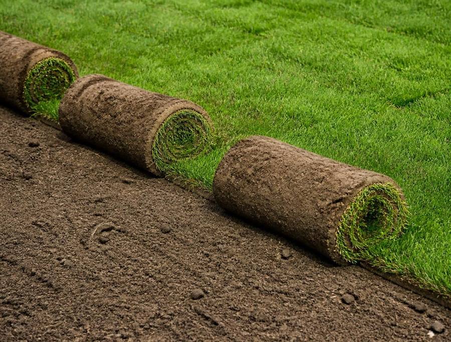 Sod Installation — service example